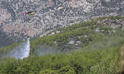 Orman yangını büyümeden kontrol altına alındı