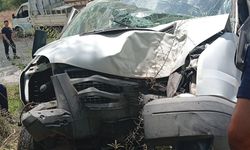 Alanya'da kamyonet ağaca çarptı: 1 ölü, 1 ağır yaralı