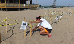 Manavgat'ta caretta caretta yavrularına koruma nöbeti