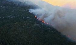 Antalya Kaş’ta orman yangını