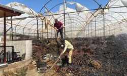 Gazipaşa'da sera yangını