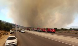 Kumluca'da orman yangını