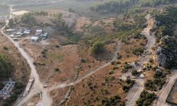 Manavgat’ta sokak hayvanlarına 75 dönümlük yaşam alanı