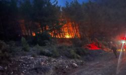 Alanya'da ormanlık alanda yangın çıktı