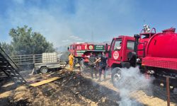 Antik kent yakınındaki zeytinlikte yangın