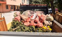 Tarihi geçmiş 152 kilo et ve 20 bidon turşuya el konuldu