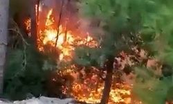 Alanya'da yıldırımın düşmesiyle yangın çıktı