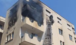 Yangından korkan hamile kediyi itfaiye kurtardı