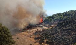 Antalya Kumluca'da orman yangını