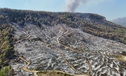 Aksu'daki orman yangını 4'üncü günde kontrol altına alındı