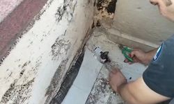 Gidere sıkışan yavru kediyi itfaiyeciler kurtardı