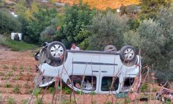 Ticari araç tarlaya uçtu: 2 yaralı