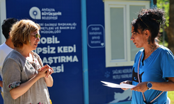 Mobil sahipsiz kedi kısırlaştırma ünitesi Karaalioğlu Parkı'nda