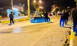 Antalya'da otomobil palmiyeye çarptı