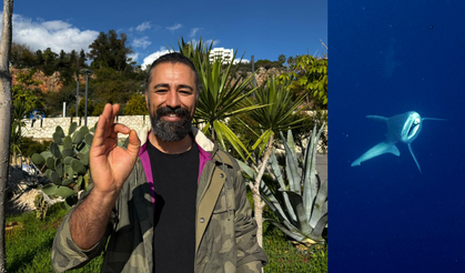 Camgöz Köpek Balığını Dalgıçlar Kurtardı