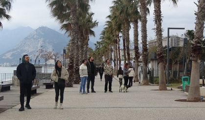Konyaaltı Sahili'nde Leylek Sürprizi