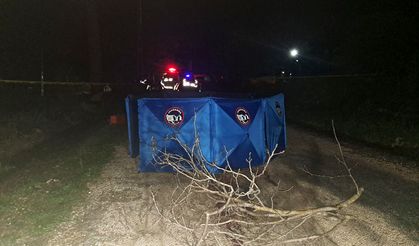 Kamyonet Kasasından Düşen Kadın Hayatını Kaybetti