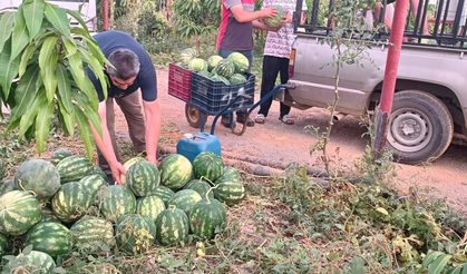 Hayırsever Çiftçinin Tarlası Öğrenciler İçin Hasat Edildi