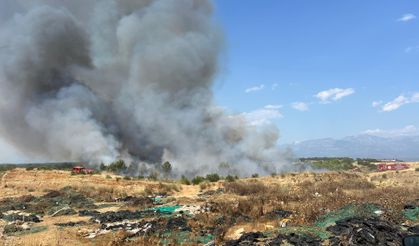 Aksu'da orman yangınına havadan ve karadan müdahale