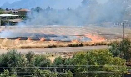 Yeni biçilmiş tarla ve istifli balyalar kül oldu