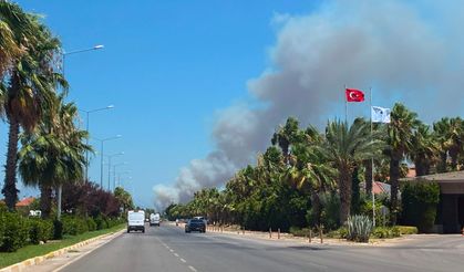 Antalya'da ormanlık alanda yangın