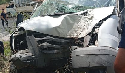 Alanya'da kamyonet ağaca çarptı: 1 ölü, 1 ağır yaralı