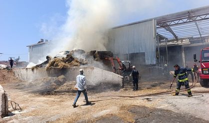Besihanede çıkan yangın korkuttu