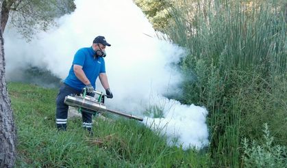 Boğaçayı'nda vektörle mücadele çalışması