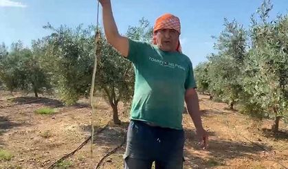 Çektiği video başına iş açtı: 22 bin TL ceza