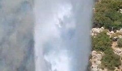 Demre'deki orman yangını kontrol altına alındı