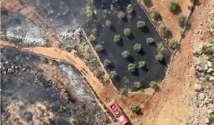 Antalya'da ormanlık alanı tehdit eden yangın