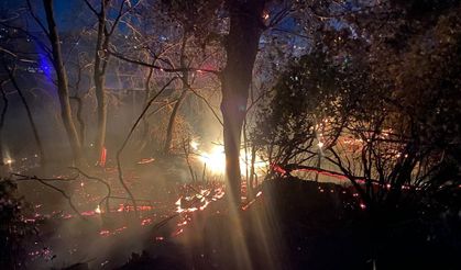 Antalya'da 3 günde 8 ilçede 34 yangın çıktı