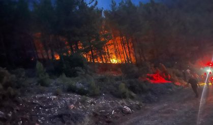 Alanya'da ormanlık alanda yangın çıktı