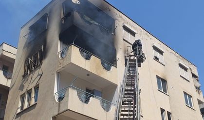 Yangından korkan hamile kediyi itfaiye kurtardı
