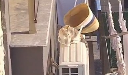 Klimada mahsur kalan kedisini plaj çantasıyla kurtardı