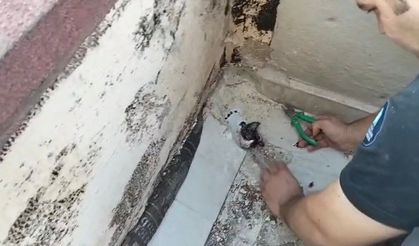 Gidere sıkışan yavru kediyi itfaiyeciler kurtardı