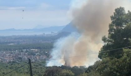 Kepez Santral Mahallesi’nde Orman Yangını