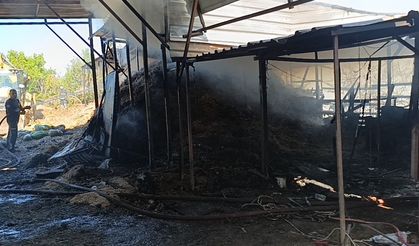 İki yıl arayla aynı ahırda ikinci yangın: Hayvanlar telef oldu
