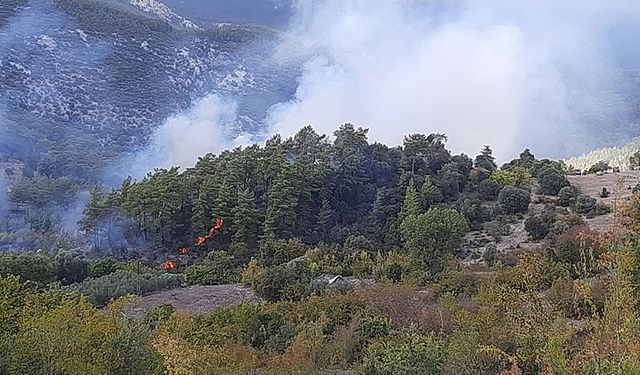 Kumluca'da yangın