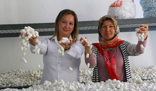 İpek Evi'nde eğitim kursları başladı