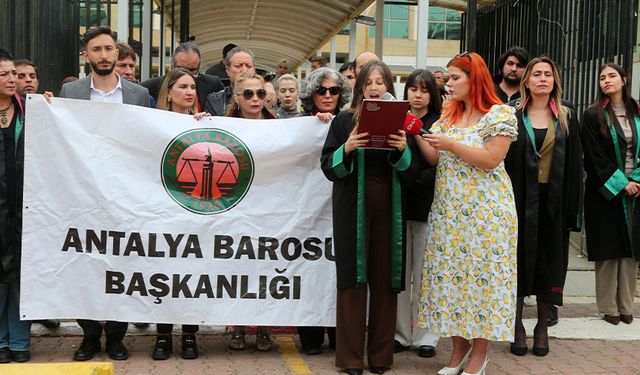 Sokak ortasında öldürülen köpek için barodan açıklama