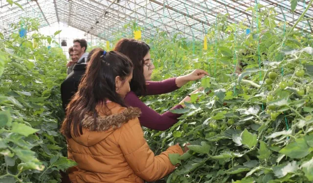 Akdeniz Üniversitesi'nden 207 projeye TÜBİTAK desteği