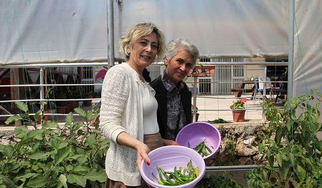 Hastalara tarım ve sanatla terapi