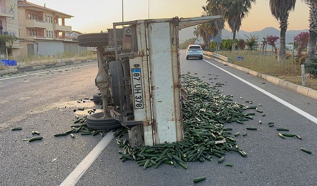 Salatalık yüklü kamyonet devrildi