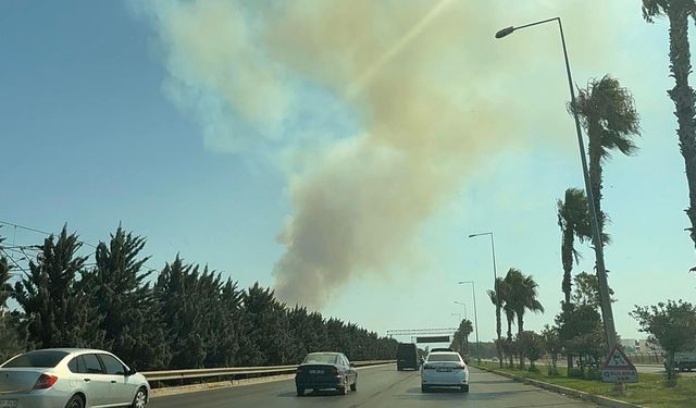Antalya'da İki Orman Yangını