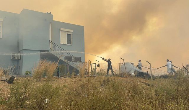 Antalya'da Üç Ayrı Orman Yangını