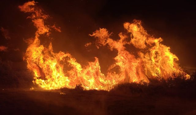 Manavgat’ta Yangın: 8 Dönümlük Tarım Arazisi Zarar Gördü