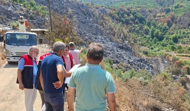 Gazipaşa Yangınında Tarımsal Zarar Tespit Edildi