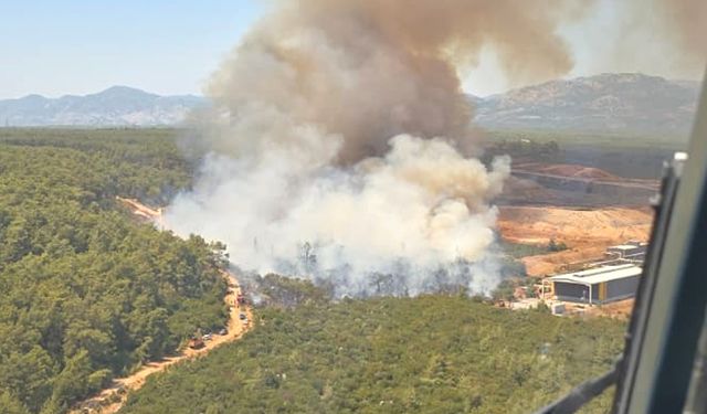 Antalya Kepez'de Orman Yangını Çıktı