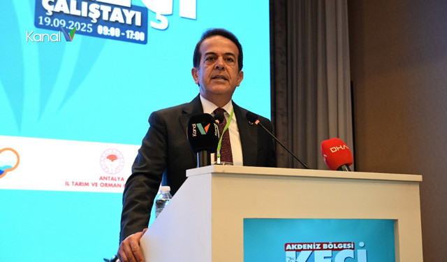 Antalya'nın Keçi Varlığı Yarıya Düştü: Sektör Kurtarılmalı